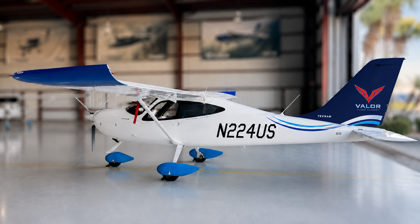 Tecnam P2008 MK II in flight